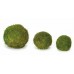 SHEET MOSS BALL PRESERVED 8"- CLOSE OUT !!!!!